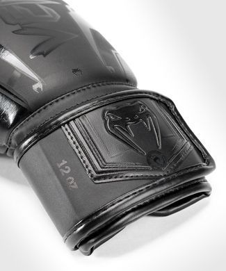 Боксерские перчатки Venum Elite Evo Black Black, 10 oz