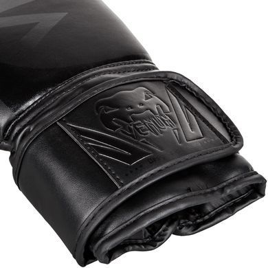 Боксерські рукавички Venum Challenger 2.0 Чорні з чорним 10oz