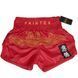 Шорты для тайского бокса Fairtex BS1910 Golden River, M