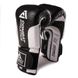 Боксерские перчатки Tatami Combat Athletics Pro Series V2, 16oz, 16oz