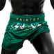Шорты для тайского бокса Fairtex BS1913 Tonna, S