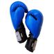Боксерські рукавички Thai Professional BG5VL Сині, 12oz, 12oz