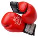 Боксерські рукавички Thai Professional BG5VL Червоні, 12oz, 12oz