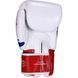 Боксерские перчатки Fairtex BGV1 Thai Pride, 14 oz