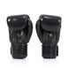 Боксерські рукавиці Fairtex BGV1 Universal Gloves Nation Black, 12 oz