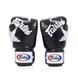 Боксерські рукавиці Fairtex BGV1 Universal Gloves Nation Black, 12 oz