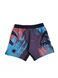 Шорты для MMA MANTO Livings Multicolor, L