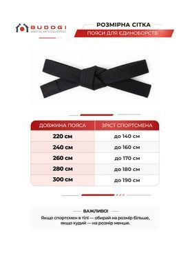 Коричневий пояс для дзюдо ТМ BUDOGI, серія PRO, довжина 320 см