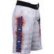 Шорти Throwdown Riot American Flag White, Білий, 30