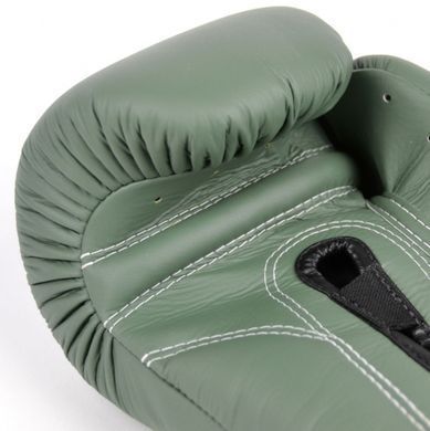 Боксерские перчатки Fairtex F-Day BGV11 Limited Edition Boxing Gloves, 10 oz