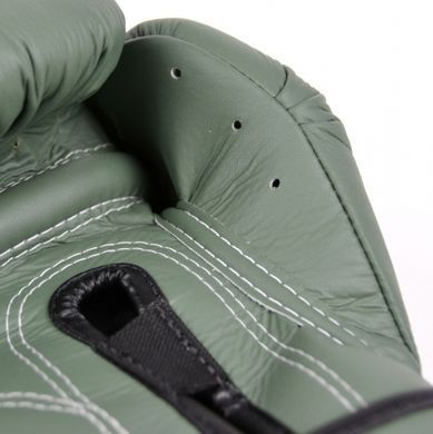 Боксерские перчатки Fairtex F-Day BGV11 Limited Edition Boxing Gloves, 10 oz
