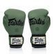 Боксерские перчатки Fairtex F-Day BGV11 Limited Edition Boxing Gloves, 10 oz