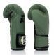 Боксерские перчатки Fairtex F-Day BGV11 Limited Edition Boxing Gloves, 10 oz