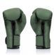 Боксерские перчатки Fairtex F-Day BGV11 Limited Edition Boxing Gloves, 10 oz