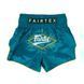 Тайские шорты Fairtex BS1907 Focus Green, XS