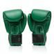 Боксерські рукавиці Fairtex x Tom Atencio BGV Premium Limited Edition Resurrection Nylon Bag, 10 oz