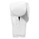 Боксерские перчатки Title Boxing Ko-Vert Training Gloves White, 12 oz
