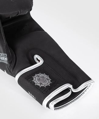 Боксерські рукавиці Venum Gladiator 5.0 Boxing Gloves Black Silver, 12 oz