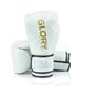 боксерские перчатки Fairtex X Glory Kickboxing Competition and Training Gloves BGVG3 White Silver, 12 oz