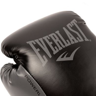 Боксерские перчатки Everlast Powerlock 2R Training Gloves Hook and Loop Black, 12 oz