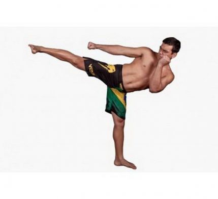 Шорти Venum Brazilian Flag Fightshorts - Black, Чорний-Зелений, XS