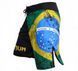 Шорти Venum Brazilian Flag Fightshorts - Black, Чорний-Зелений, XS