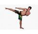 Шорти Venum Brazilian Flag Fightshorts - Black, Чорний-Зелений, XS