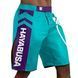 Шорты для MMA Hayabusa Icon MMA Shorts Teal White, S