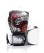 Боксерские перчатки Fairtex BGV24 The Beauty of Survival Limited Edition Wooden Box, 10 oz