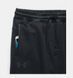 Спортивні штани Under Armour Storm Swacket Black, Чорний, L
