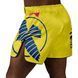 Шорты для MMA Hayabusa Mid-Thigh Icon Fight Shorts Yellow Blue, L