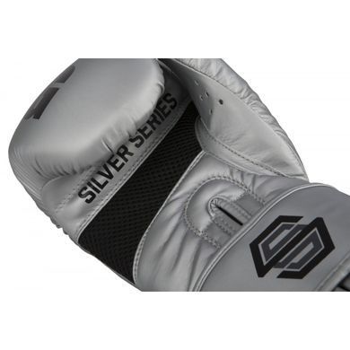 Боксерские перчатки TITLE Silver Series Select Training Серебристые 18oz