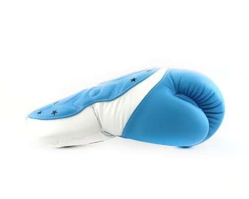 Боксерські рукавиці Twins Velcro Extra Design BGVL6-MK White Lightblue, 14 oz