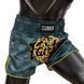 Тайские шорты Fairtex BS1915 Clubber Pacific Green, M