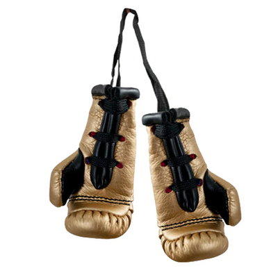 Сувенирные перчатки Cleto Reyes Minigloves Synthetic Черные