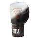 Боксерські рукавички TITLE Boxing Platinum Proclaim Power Bag Срібло, 16oz, 16oz
