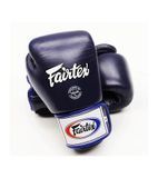 Боксерские перчатки Fairtex BGV1 Universal Muay Thai/Boxing Gloves Blue, 10 oz