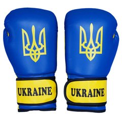 Боксерские перчатки Firepower UKRAIN DX, 10oz, 10oz