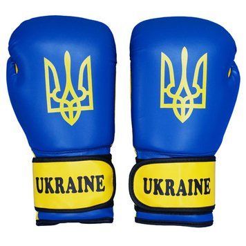 Боксерські рукавички Firepower UKRAIN DX 10oz