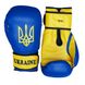 Боксерські рукавички Firepower UKRAIN DX, 10oz, 10oz