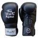 Боксерские перчатки Thai Professional BG3 Черные, 10oz, 10oz