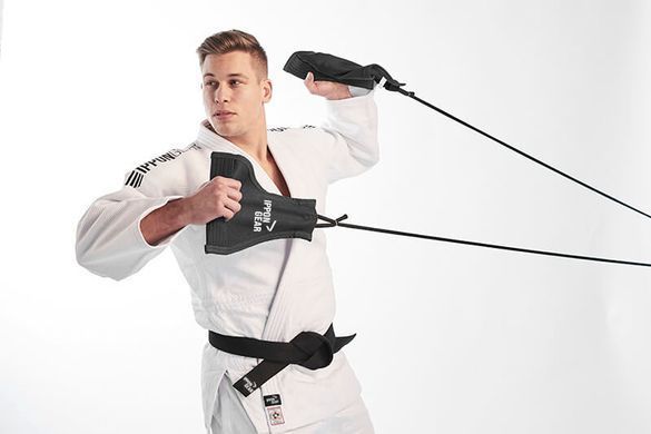 Тренежер для єдиноборств IPPONGEAR Uchi Komi 2 (учі комі)