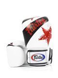 Боксерские перчатки Fairtex BGV1 Universal Gloves Nation White, 10 oz