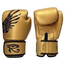 Боксерські рукавиці Fairtex BGV1 Gold Limited Edition Boxing Gloves, 14 oz