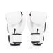 Боксерские перчатки Fairtex BGV1 Universal Gloves Nation White, 10 oz