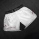 Шорты для ММА Hayabusa Men&rsquo;s Apex Mid-Thigh Fightshorts Ash White, M
