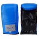 Снарядні рукавички Thai Professional BG6 NEW Сині, M, M